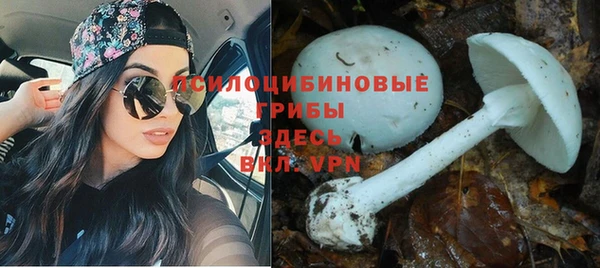 прущая мука Пестово