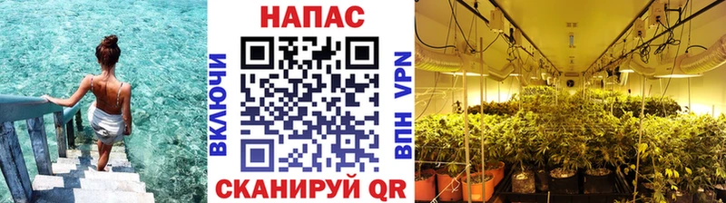 МАРИХУАНА тримм дарк нет официальный сайт Болхов